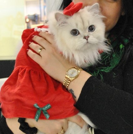 Ali's Strawberry Alhambra